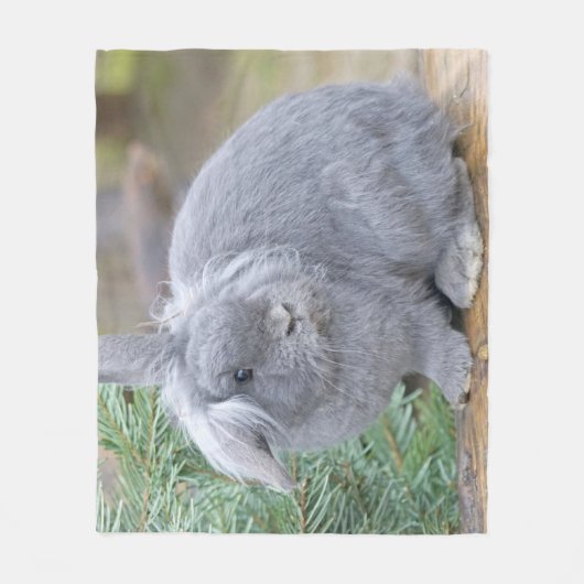 Cute gray konijn fleece deken (Voorkant)