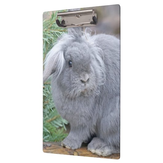 Cute gray konijn klembord (Links)