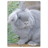 Cute gray konijn klembord (Achterkant)