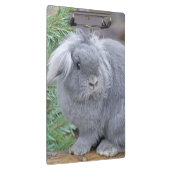 Cute gray konijn klembord (Rechts)