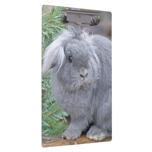 Cute gray konijn klembord (Rechts)