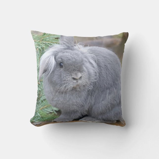 Cute gray konijn kussen (Voorkant)