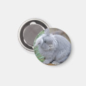 Cute gray konijn magneet (Voorkant / Achterkant)