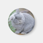 Cute gray konijn magneet (Voorkant)