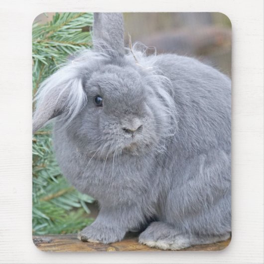 Cute gray konijn muismat (Voorkant)