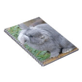 Cute gray konijn notitieboek (Rechterzijde)