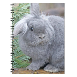 Cute gray konijn notitieboek