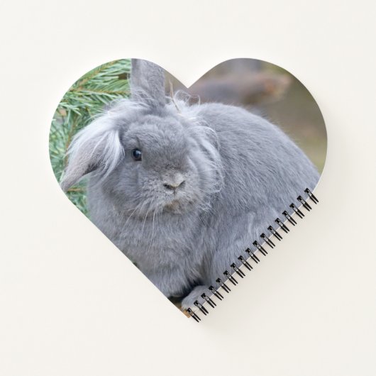 Cute gray konijn notitieboek (Achterkant)
