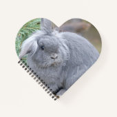Cute gray konijn notitieboek (Voorkant)