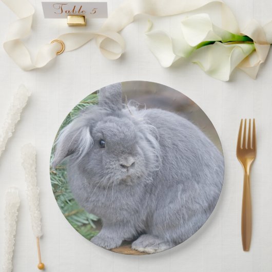 Cute gray konijn papieren bordje (Huwelijk)