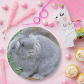 Cute gray konijn papieren bordje (Feest)