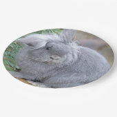 Cute gray konijn papieren bordje (Gekanteld)