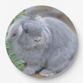 Cute gray konijn papieren bordje (Voorkant)