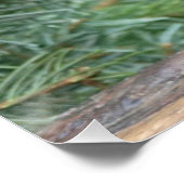 Cute gray konijn perfect poster (Hoek)