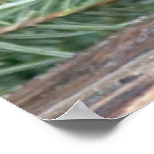 Cute gray konijn poster (Hoek)