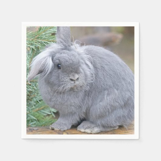 Cute gray konijn servet (Voorkant)