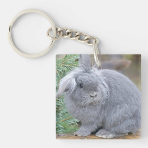 Cute gray konijn sleutelhanger
