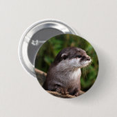 Cute gray otter ronde button 5,7 cm (Voorkant /achterkant)