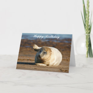 Cute Gray Seal Pup - Happy Birthday Wenskaart Kaart