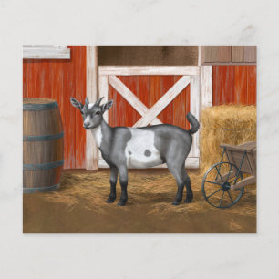 Cute Gray Spotted Goat