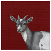 Cute Gray Spotted Goat Stof (Close Up)