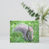 Cute Gray Squirrel Briefkaart (Staand voorkant)