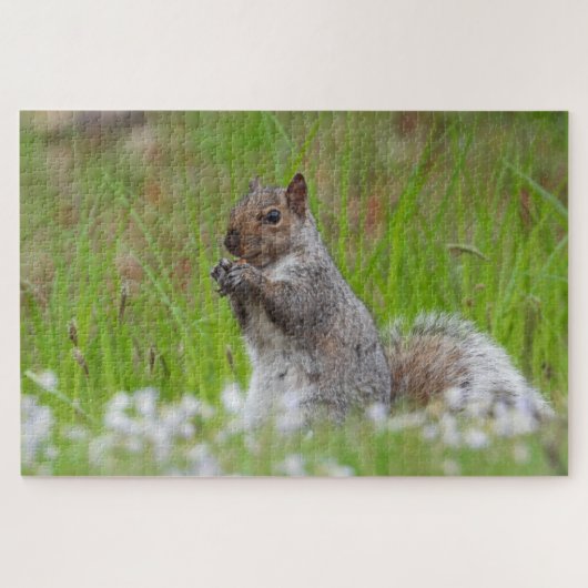 Cute Gray Squirrel Green Grass Bluetts Legpuzzel (Horizontaal)