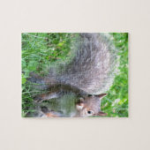 Cute Gray Squirrel Legpuzzel (Horizontaal)