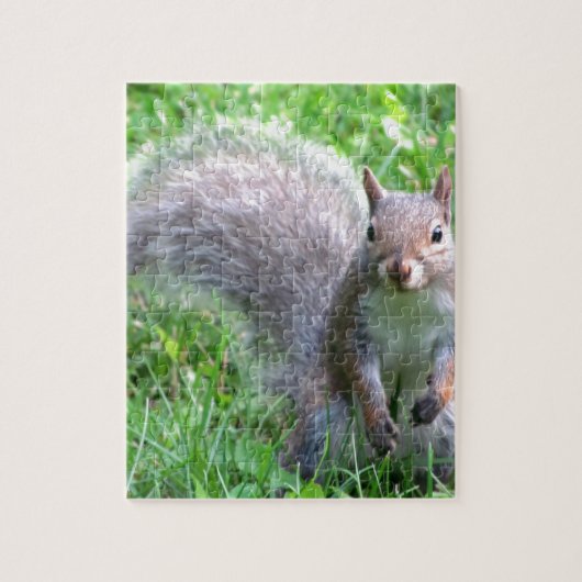Cute Gray Squirrel Legpuzzel (Verticaal)