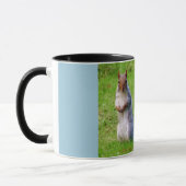 Cute Gray Squirrel Mok (Links)