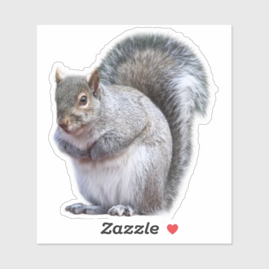Cute Gray Squirrel Sticker (Vel)