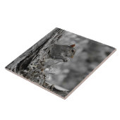 Cute Gray Squirrel Tegeltje (Zijkant)