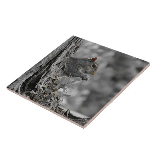 Cute Gray Squirrel Tegeltje (Zijkant)