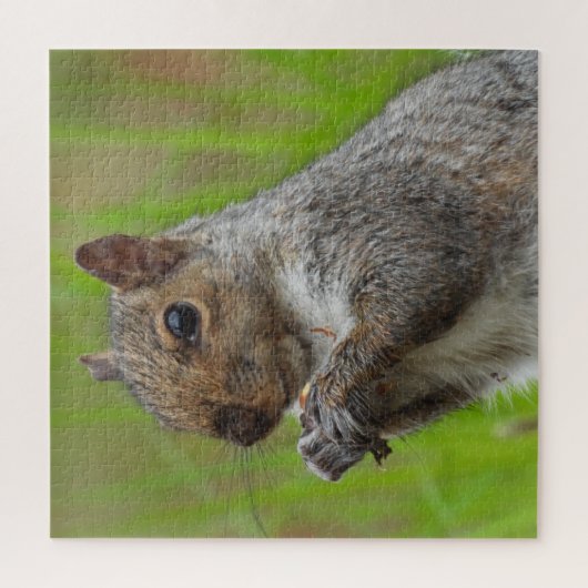 Cute Gray Squrel die dicht bij elkaar zit Legpuzzel (Verticaal)