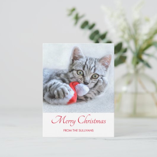 Cute Gray Tabby Cat Kerstmis Pet Xmas Briefkaart (Staand voorkant)