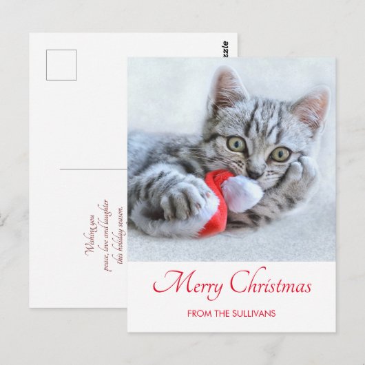 Cute Gray Tabby Cat Kerstmis Pet Xmas Briefkaart (Voorkant / Achterkant)
