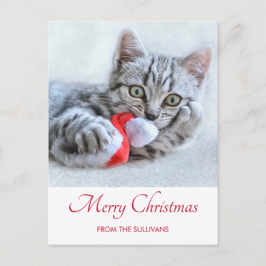 Cute Gray Tabby Cat Kerstmis Pet Xmas Briefkaart (Voorkant)