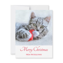 Cute Gray Tabby Cat Kerstmis Pet Xmas