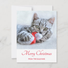 Cute Gray Tabby Cat Kerstmis Pet Xmas Feestdagenkaart