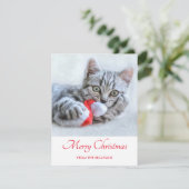 Cute Gray Tabby Cat Kerstmis Pet Xmas Feestdagenkaart (Staand voorkant)