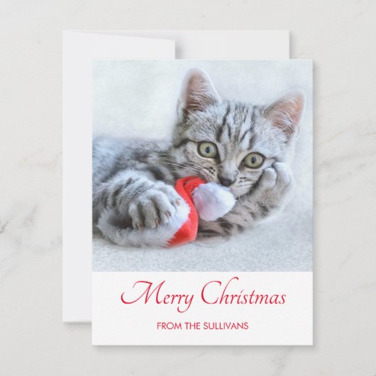 Cute Gray Tabby Cat Kerstmis Pet Xmas Feestdagenkaart (Voorkant)