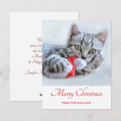 Cute Gray Tabby Cat Kerstmis Pet Xmas Feestdagenkaart (Voorkant / Achterkant)