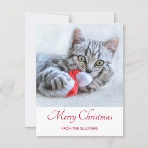 Cute Gray Tabby Cat Kerstmis Pet Xmas Feestdagenkaart