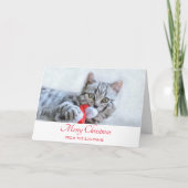 Cute Gray Tabby Cat Kerstmis Pet Xmas Kaart (Voorkant)
