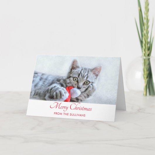Cute Gray Tabby Cat Kerstmis Pet Xmas Kaart (Voorkant)
