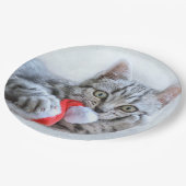 Cute Gray Tabby Cat Kerstmis Pet Xmas Papieren Bordje (Gekanteld)