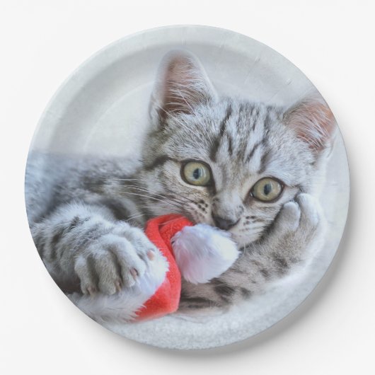 Cute Gray Tabby Cat Kerstmis Pet Xmas Papieren Bordje (Voorkant)