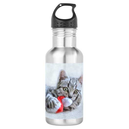 Cute Gray Tabby Cat Kerstmis Pet Xmas Waterfles (Voorkant)
