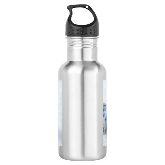 Cute Gray Tabby Cat Kerstmis Pet Xmas Waterfles (Achterkant)