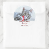 Cute Gray Tabby Cat met Kerstmis Pet Xmas Kitchen Ronde Sticker (Tas)